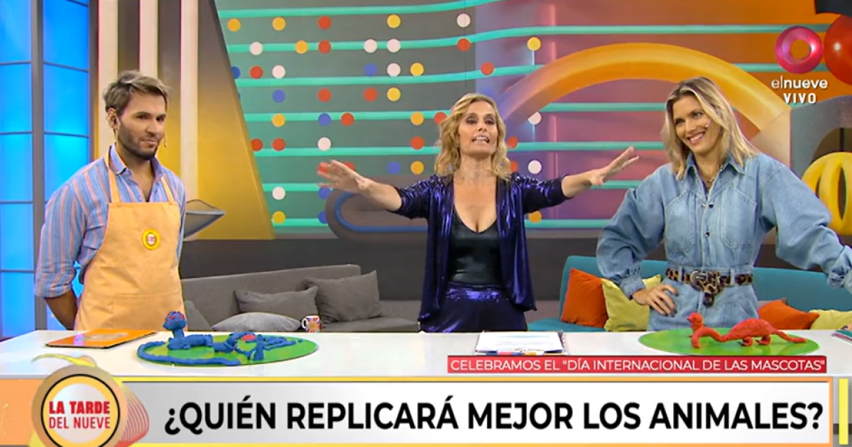 La Tarde Del Nueve Celebramos El Día Internacional Del Animal